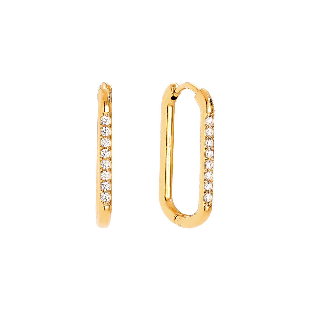 Fine Sparkling Hoops